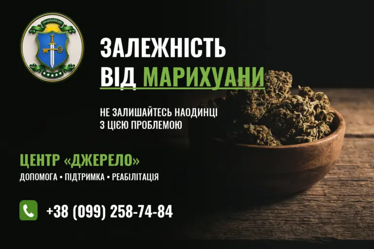 Залежність від марихуани: сухі суцвіття конопель у мисці, банер центру «Джерело»